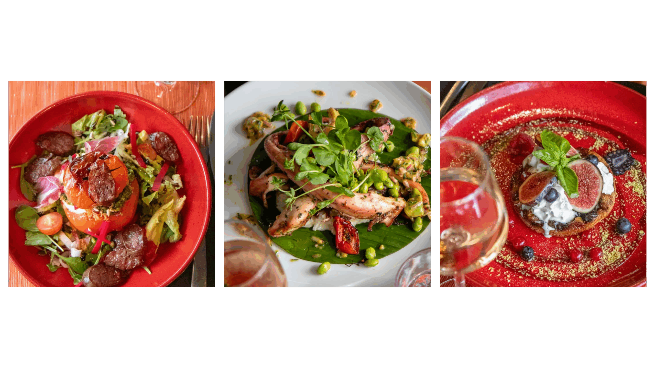 restaurant-bormes-les-mimosas-2
